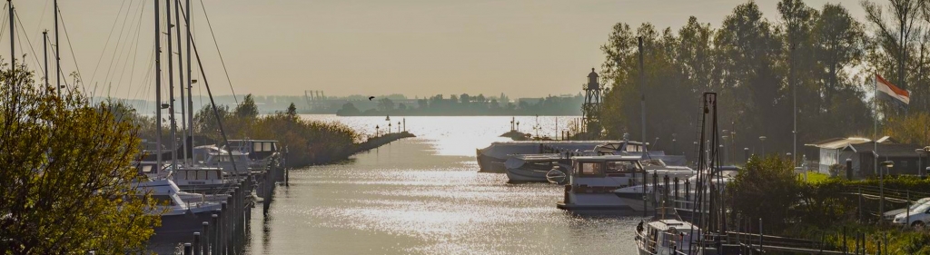 Makelaar Hoeksche Waard