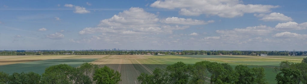 Makelaar Nieuw-Beijerland header