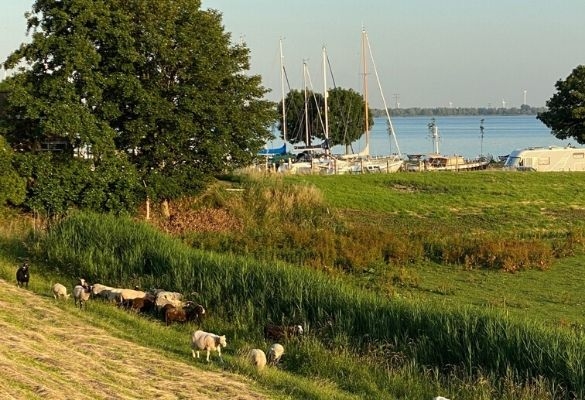 Makelaar Oud-Beijerland